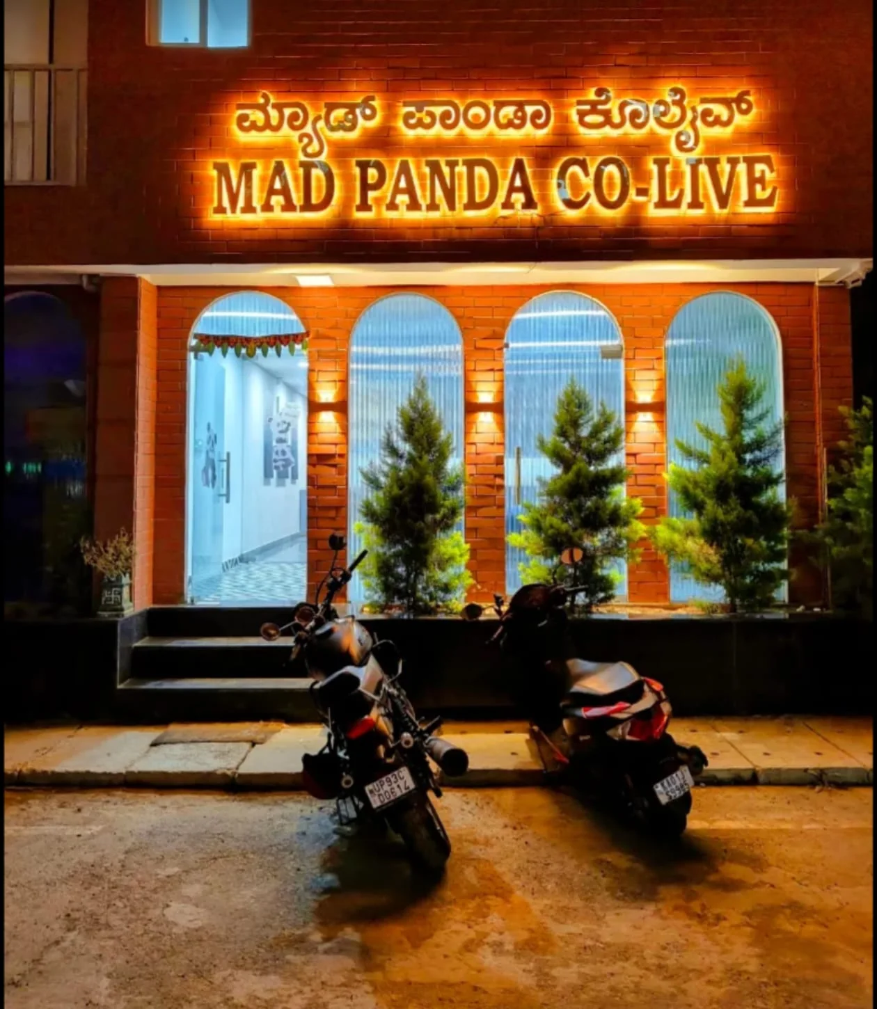 Mad Panda – Kasvanhalli photo 6
